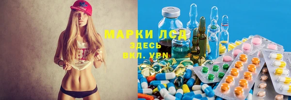 твердый Новокубанск