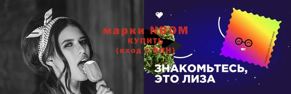 прущие грибы Новозыбков