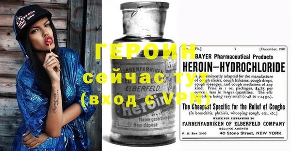 прущие грибы Новозыбков