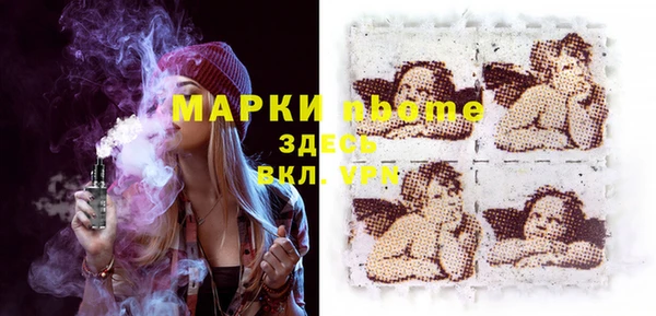 прущие грибы Новозыбков