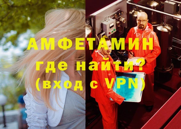 прущие грибы Новозыбков