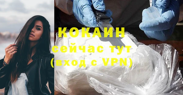 спиды Новодвинск