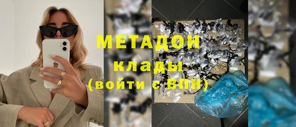 прущие грибы Новозыбков