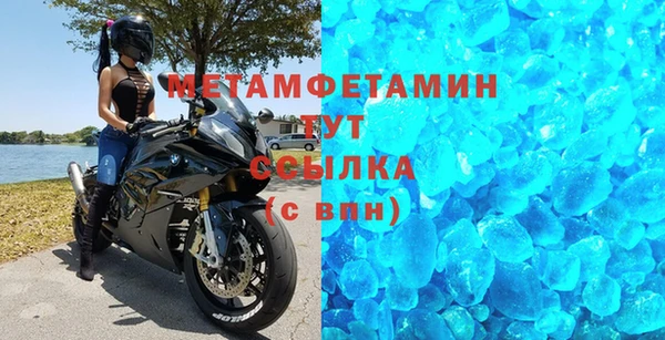 прущие грибы Новозыбков