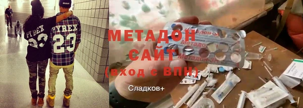 прущие грибы Новозыбков