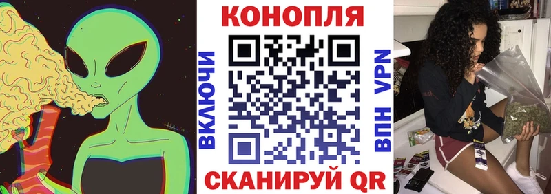 Канабис сатива  наркота  Пестово 